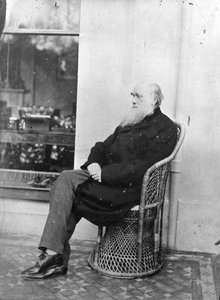Charles Darwin de Captain L. Darwin